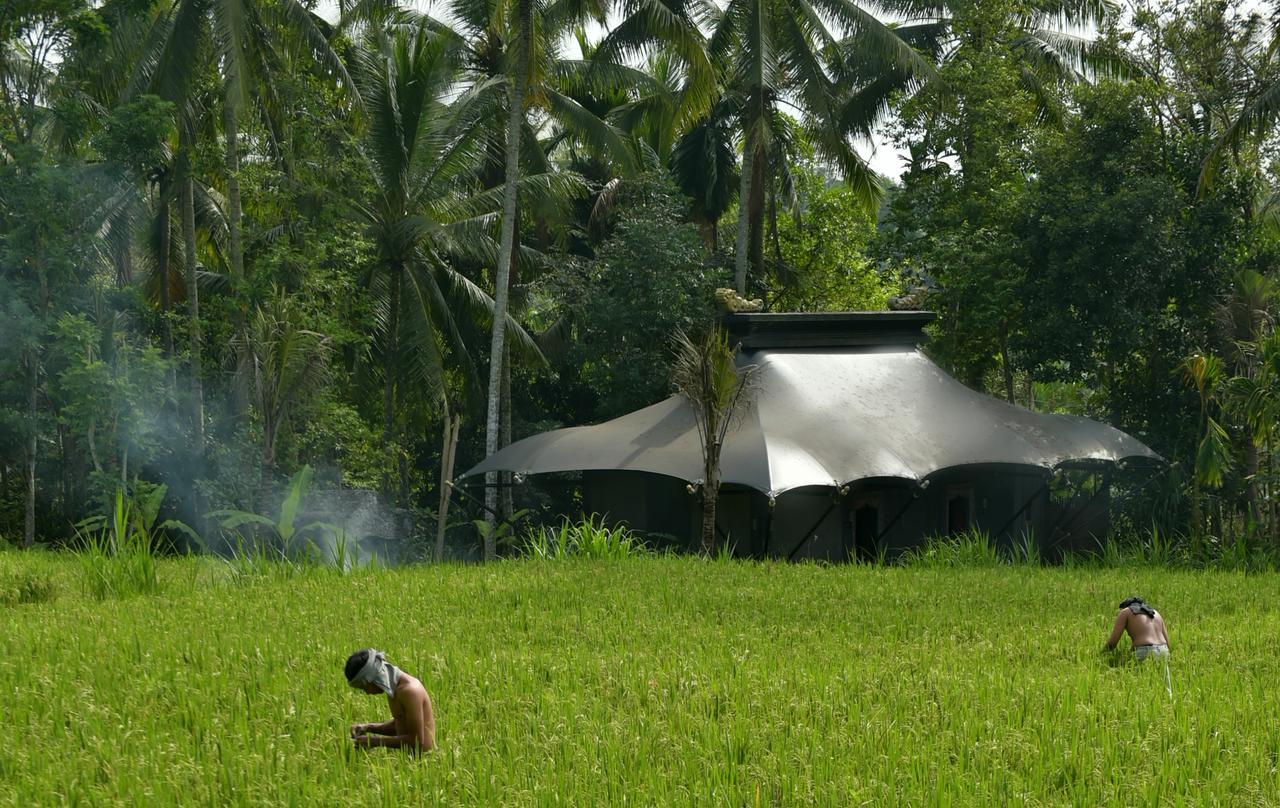 Capella Ubud, Bali Esterno foto